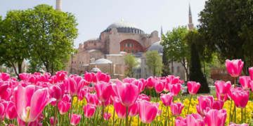 Istanbul Tulip Festival
